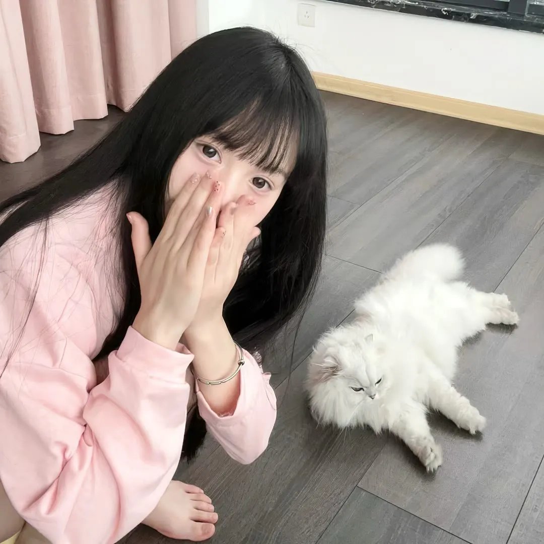 泰山2